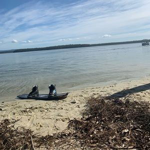 Meet your Posher, Fiona